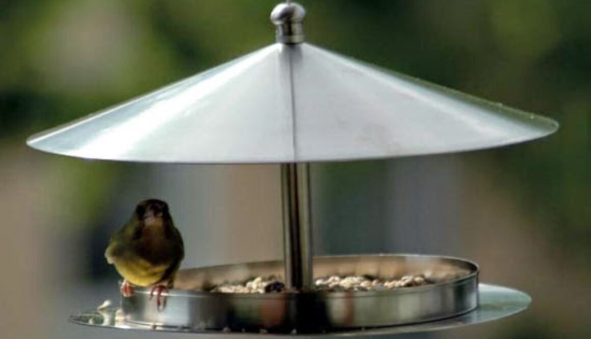 atraer pájaros silvestres a tu jardín