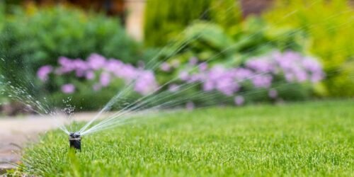 How to take care of your gardens during the month of May