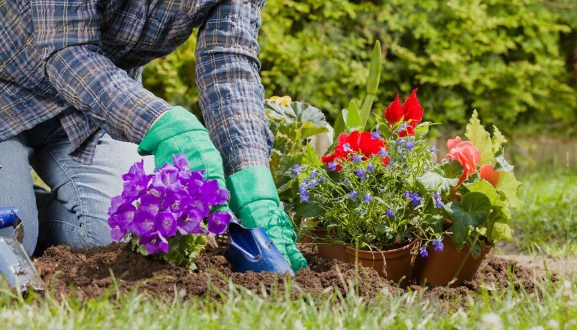 Planting,Flowers,In,The,Garden,Home