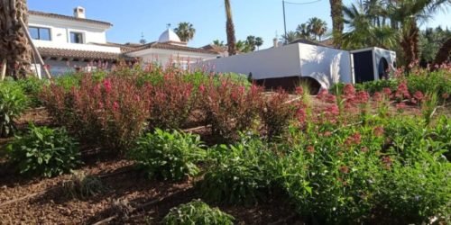 Villa-privada-mijas-agrojardinlandscaping (20)